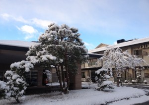 写真(10)玄関前雪